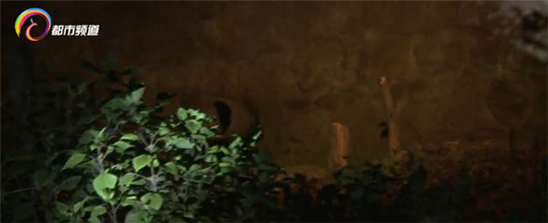 昆明螳螂川水質(zhì)多次總磷超標(biāo)!環(huán)境生態(tài)局半夜展開污染源調(diào)查 昆明螳螂川水質(zhì)多次總磷超標(biāo)!環(huán)境生態(tài)局半夜展開污染源調(diào)查