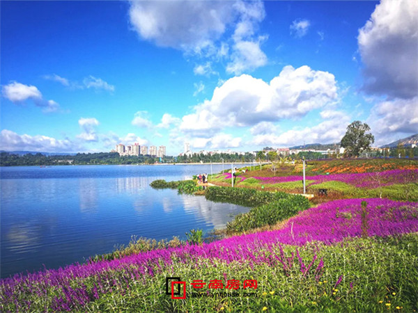 昆明遠郊千畝文旅大盤逐個看:最低賣7千,個個配套有亮點 昆明遠郊千畝文旅大盤逐個看:最低賣7千,個個配套有亮點