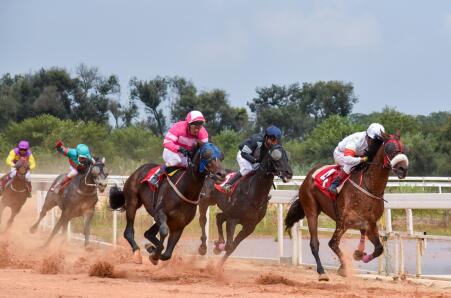 2021HƳِRqՈِ 齡2021