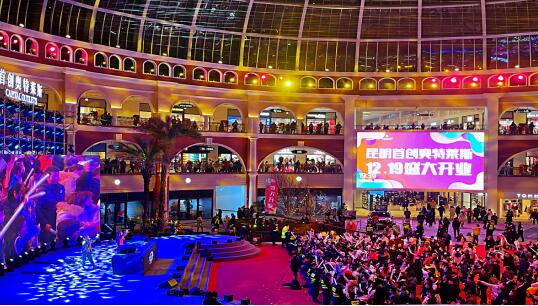 消費逆勢下的強勢突圍 消費逆勢下的強勢突圍