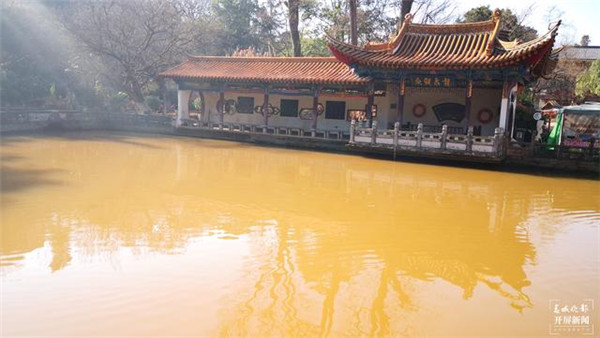 神奇“變臉”!昆明黑龍潭清水潭再變渾 神奇“變臉”!昆明黑龍潭清水潭再變渾