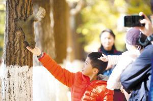 生物多樣性保護凸顯昆明力量!這樣的“綠色”春城愛了呀 生物多樣性保護凸顯昆明力量!這樣的“綠色”春城愛了呀