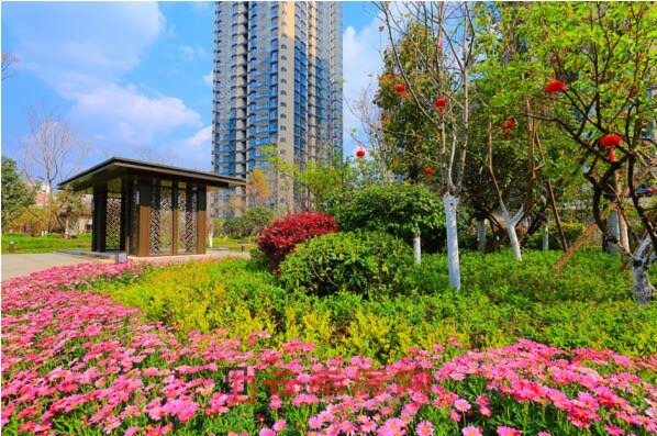 江東境界交房現場實景圖 江東境界交房現場實景圖