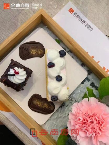 別開生面的項目案名呈現形式 別開生面的項目案名呈現形式