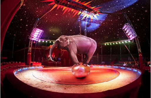 不負久候|吾悅·海悅西山營銷中心4月24日盛美綻放,精彩看點先睹為快 不負久候|吾悅·海悅西山營銷中心4月24日盛美綻放,精彩看點先睹為快