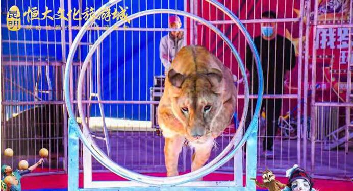 五一狂歡,嗨翻全城!皇家馬戲嘉年華空降昆明恒大文化旅游城 五一狂歡,嗨翻全城!皇家馬戲嘉年華空降昆明恒大文化旅游城