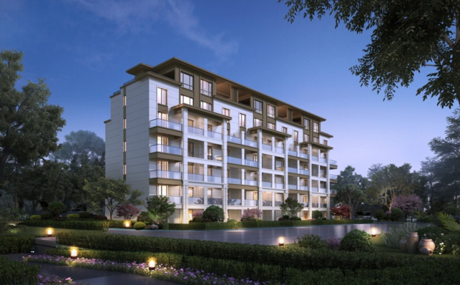 (效果圖) (效果圖)