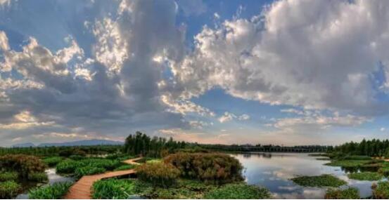 俊發(fā)生態(tài)半島項(xiàng)目緊鄰西亮塘濕地公園 俊發(fā)生態(tài)半島項(xiàng)目緊鄰西亮塘濕地公園