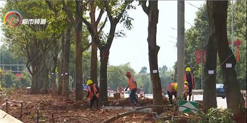 下了飛機(jī)進(jìn)公園?機(jī)場(chǎng)高速正換新顏,這些亮點(diǎn)別錯(cuò)過(guò) 下了飛機(jī)進(jìn)公園?機(jī)場(chǎng)高速正換新顏,這些亮點(diǎn)別錯(cuò)過(guò)