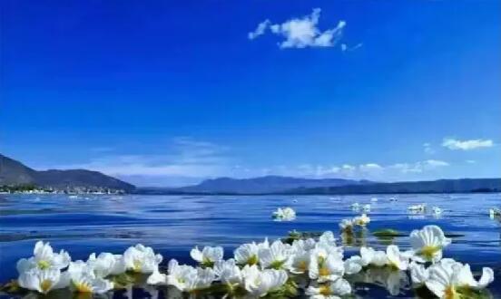 蒼山洱海是大理的名片 蒼山洱海是大理的名片