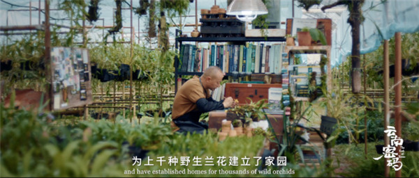 COP15云南宣傳片震撼發布!《云南密碼》為您解密云南 COP15云南宣傳片震撼發布!《云南密碼》為您解密云南