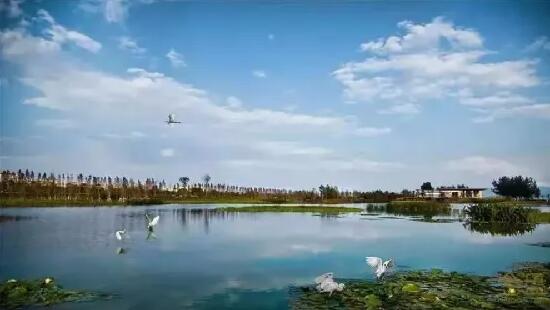 俊發生態半島周邊環繞有多個濕地公園 俊發生態半島周邊環繞有多個濕地公園