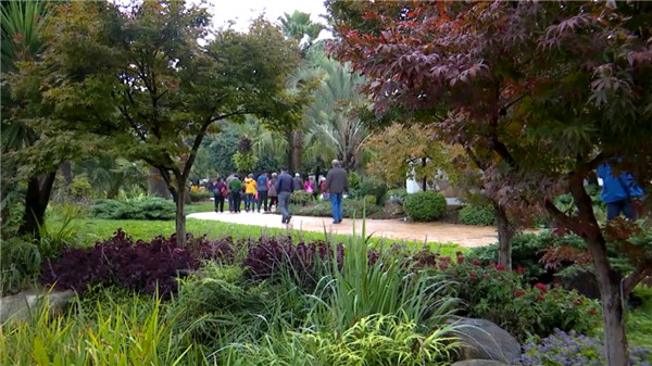 ß[ˋDŮһ󲨾^̈Ƴكݻ