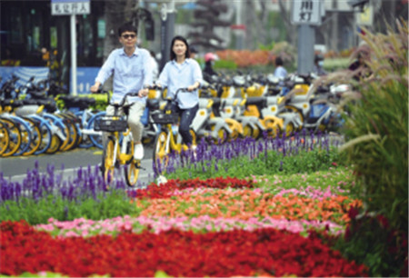 �����ڽ��^�T�����܇ ���D