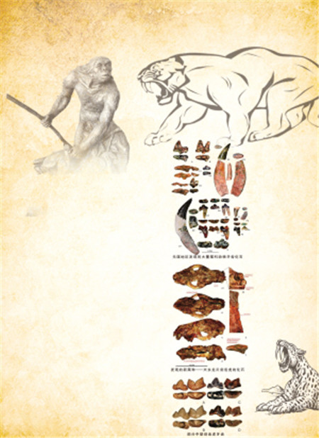 中新網(wǎng) 圖 中新網(wǎng) 圖