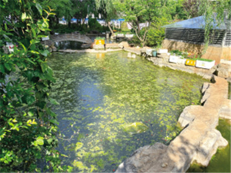 海運花園拒交物業費業主或成被告 海運花園拒交物業費業主或成被告