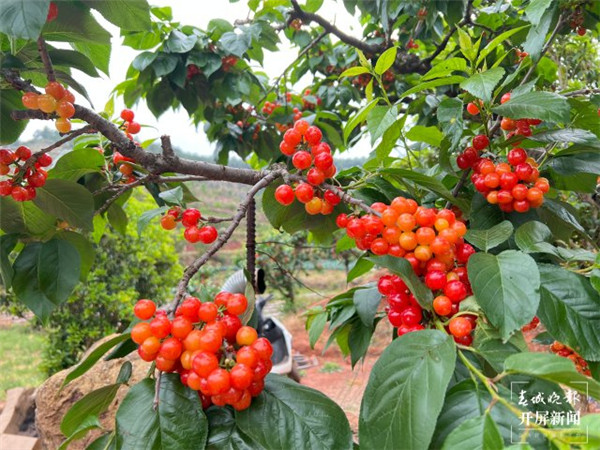 ժҡHȻˮ@һں(chng)