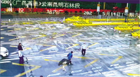 民警協助失主找到鴕鳥 高支隊供圖 民警協助失主找到鴕鳥 高支隊供圖