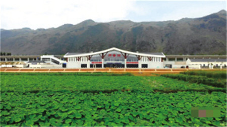 彌蒙高鐵開(kāi)通在即 4座車(chē)站一站一景 彌蒙高鐵開(kāi)通在即 4座車(chē)站一站一景
