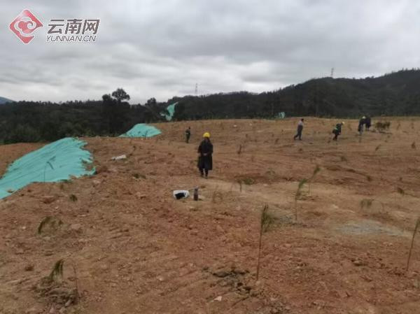 昆明市五華區黑林鋪街道聯合多部門整治昆楚項目違法用地 昆明市五華區黑林鋪街道聯合多部門整治昆楚項目違法用地