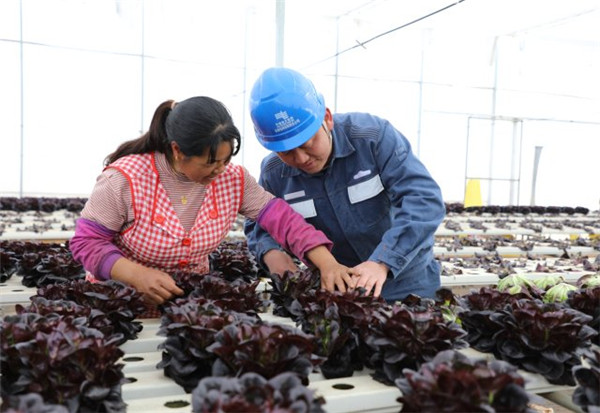 11家企業享“福利”!南方電網云南曲靖供電局助企紓困超1.91億元 11家企業享“福利”!南方電網云南曲靖供電局助企紓困超1.91億元