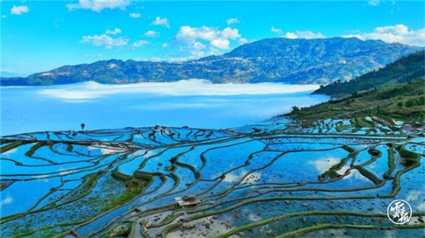 COP15第二階段會(huì)議丨云南展和“云南主題日”活動(dòng)將精彩亮相 COP15第二階段會(huì)議丨云南展和“云南主題日”活動(dòng)將精彩亮相