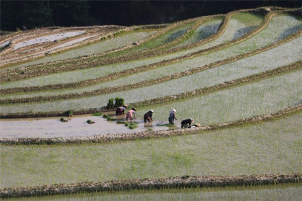 COP15第二階段會(huì)議丨云南展和“云南主題日”活動(dòng)將精彩亮相 COP15第二階段會(huì)議丨云南展和“云南主題日”活動(dòng)將精彩亮相