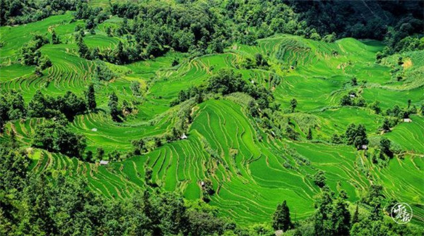 COP15第二階段會(huì)議丨云南展和“云南主題日”活動(dòng)將精彩亮相 COP15第二階段會(huì)議丨云南展和“云南主題日”活動(dòng)將精彩亮相