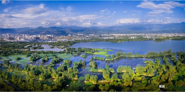 新款“綠巨人”亮相 新款“綠巨人”亮相