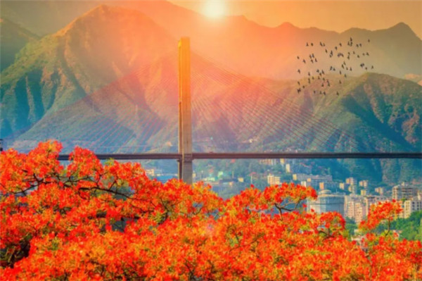 新款“綠巨人”亮相 新款“綠巨人”亮相