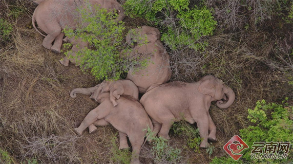 云南全新文旅形象宣傳片登陸央視,七彩云南等你來(lái) 云南全新文旅形象宣傳片登陸央視,七彩云南等你來(lái)