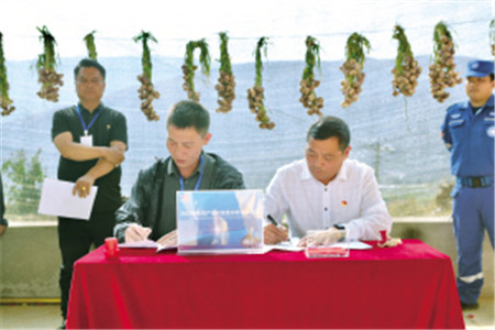東川啟動大蒜品牌宣傳活動 東川啟動大蒜品牌宣傳活動
