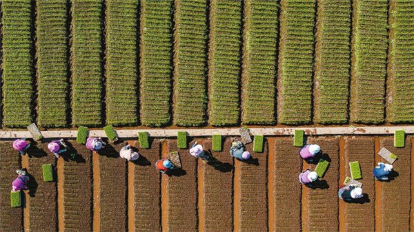 【2023全國(guó)兩會(huì)】云南代表委員熱議全面推進(jìn)鄉(xiāng)村振興 【2023全國(guó)兩會(huì)】云南代表委員熱議全面推進(jìn)鄉(xiāng)村振興