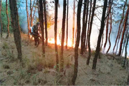 森警撲救森林火災 昆明森警供圖 森警撲救森林火災 昆明森警供圖