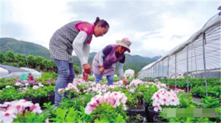  лľ޹˾Ϸֹ˾Դ ֱN۶ Vҕ_΢Ź̖؈D