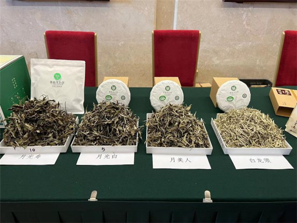 云南景谷縣區域公共品牌“景谷大白茶”正式發布 云南景谷縣區域公共品牌“景谷大白茶”正式發布