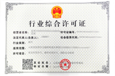 行業(yè)綜合許可證 供圖 行業(yè)綜合許可證 供圖