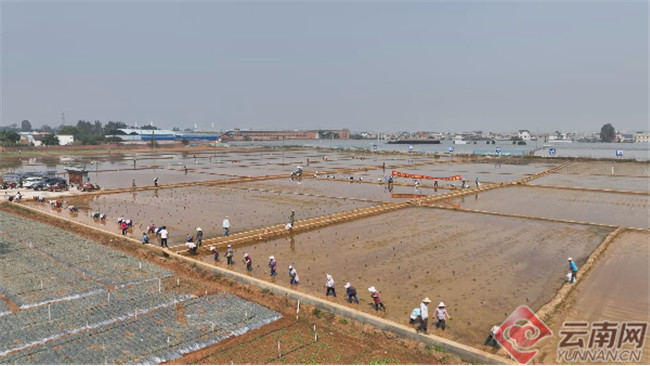 Ԭ¡ƽ�����s��ˮ�����fʾ�������M����������