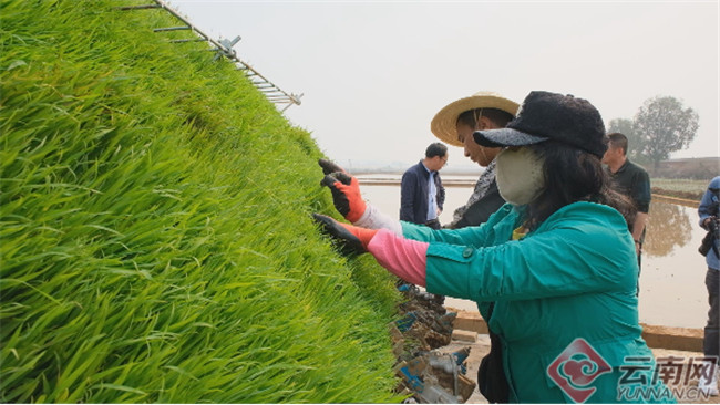 Ԭ¡ƽ�����s��ˮ�����fʾ�������M����������