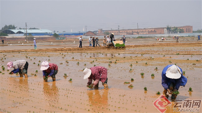 Ԭ¡ƽ�����s��ˮ�����fʾ�������M����������