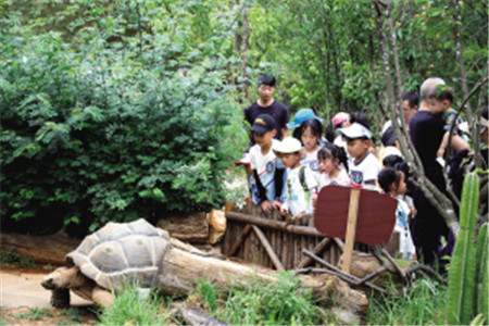 部分獲救助野生動物 昆明森警 供圖 部分獲救助野生動物 昆明森警 供圖