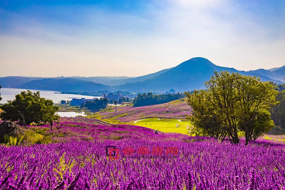 ķa(chn)߂uȫĶN(yu)ݗl