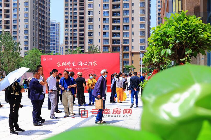 你還不如干脆把靴子扔下來呢 你還不如干脆把靴子扔下來呢