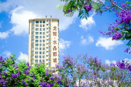 堅定不移的昆明支持者 堅定不移的昆明支持者