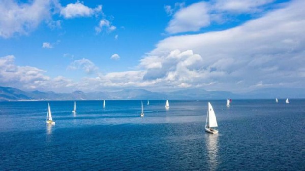 2ffe4a1b2ba927204e6cabd39623a94