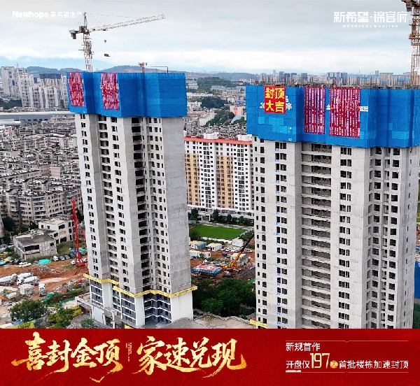 0efe31a1c7b9926b4f9ffd886b150062