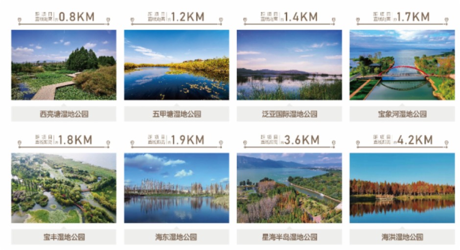 北大資源·滇海壹號周邊濕地公園一覽 北大資源·滇海壹號周邊濕地公園一覽