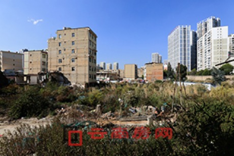 ͼӪǸĿ10δ ƱڲԫӲݴ