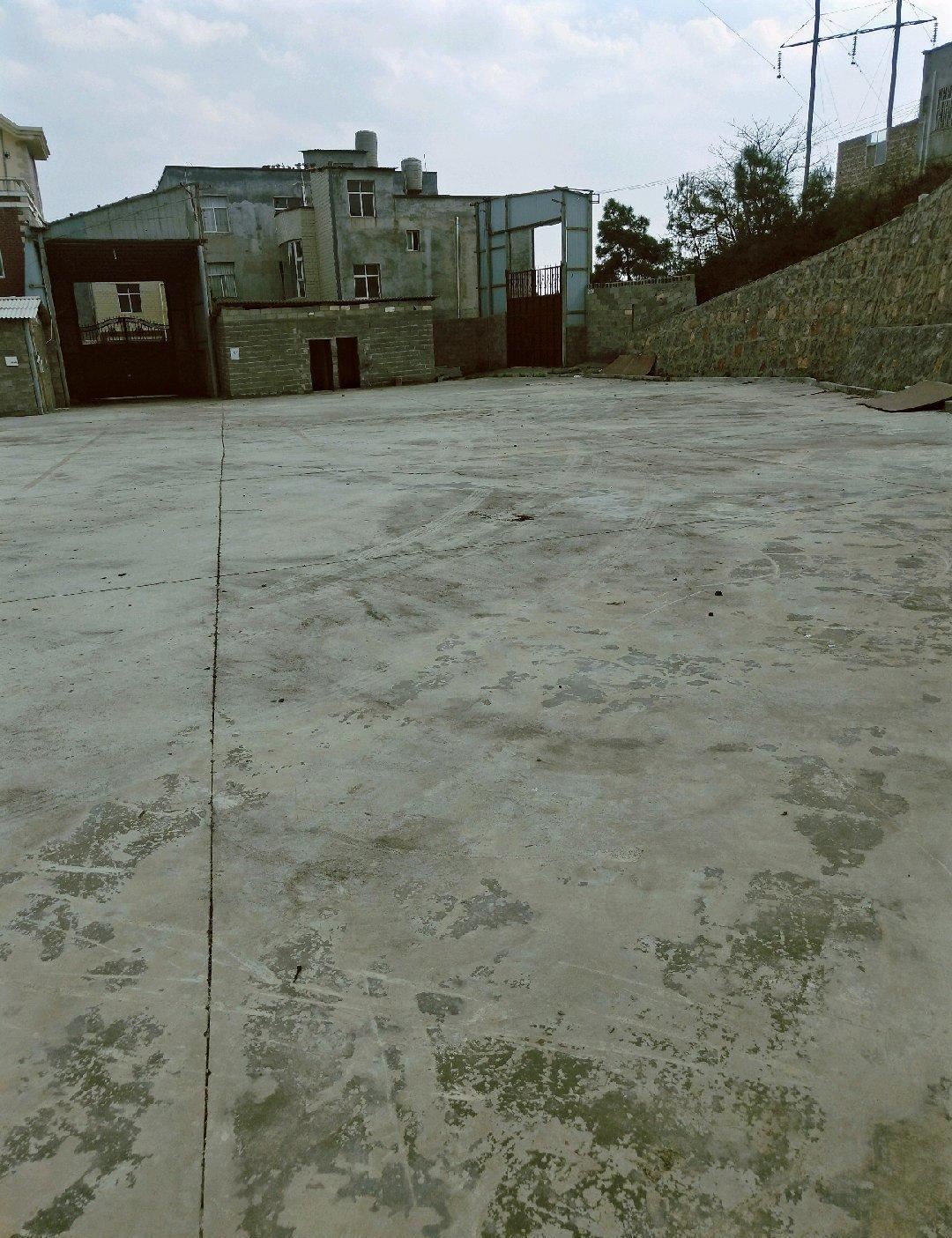 8סೡأɴ2000.00ƽ