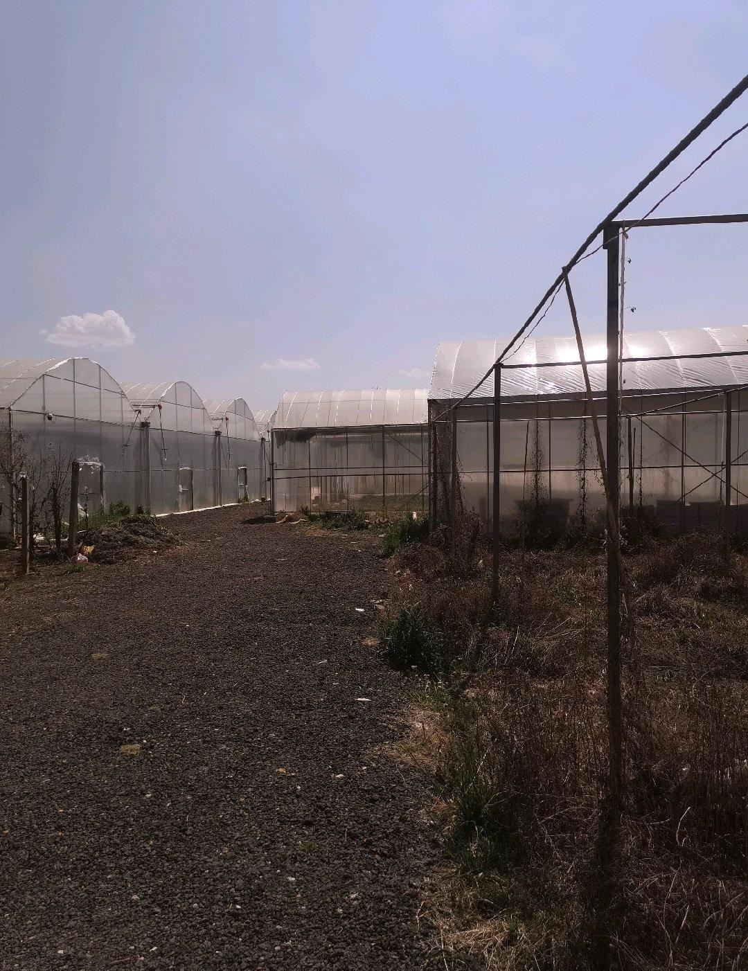 ô9Ķңˮ·ͨ޳7000.00ƽ